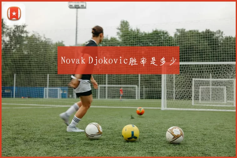 Novak Djokovic胜率是多少