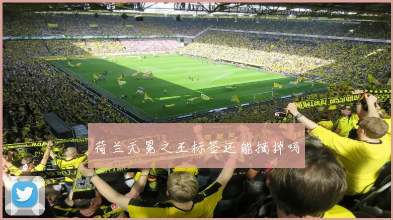 荷兰无冕之王标签还能摘掉吗